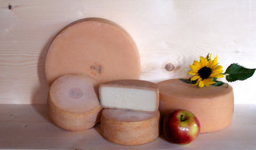 Bio Knospe Schafskäse 150g vom Biohof Enzenen im Moutathal KEIN VERSAND
